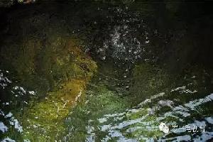 记者调查：罗平葡萄山泉饮用水质量是否合格？ 