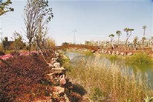 走近曲靖市首个国家湿地公园：西河湿地公园