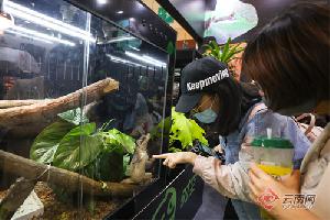 萌宠来袭 ！第五届中国昆明东盟宠物博览会人气高涨